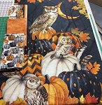 NIGHT OWL, PANEL COMBO   
