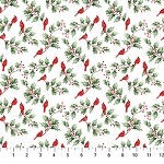 HOLLY JOLLY, CARDINALS & HOLLY, FROM NORTHCOTT      